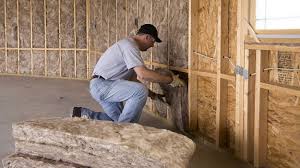 Eco-Friendly or Green Insulation Solutions in Heartland, TX